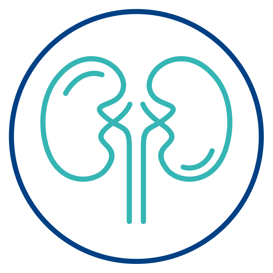 Nephrology